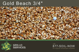 Gold Beach 3/4"