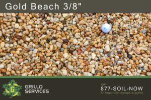 Gold Beach 3/8"