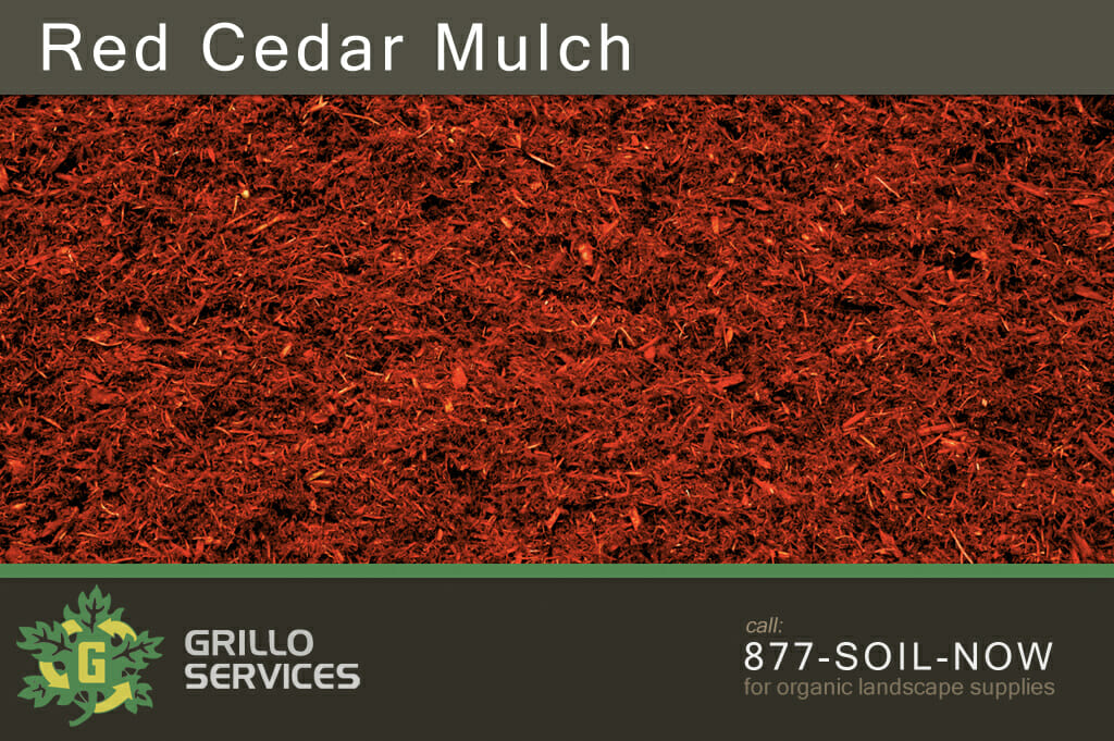 Red Cedar Mulch - natural red cedar bark