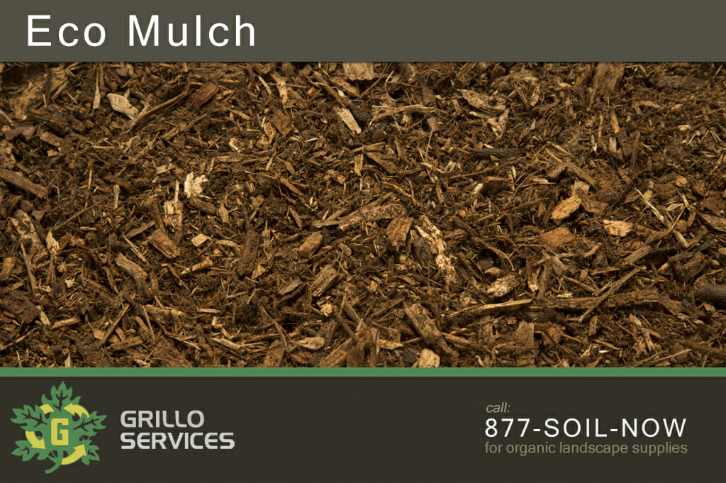 Featured image for “Eco Mulch (1 yard)”