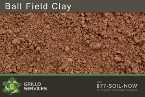 Ballfield Clay