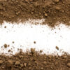Screened Fill (1 Yard)