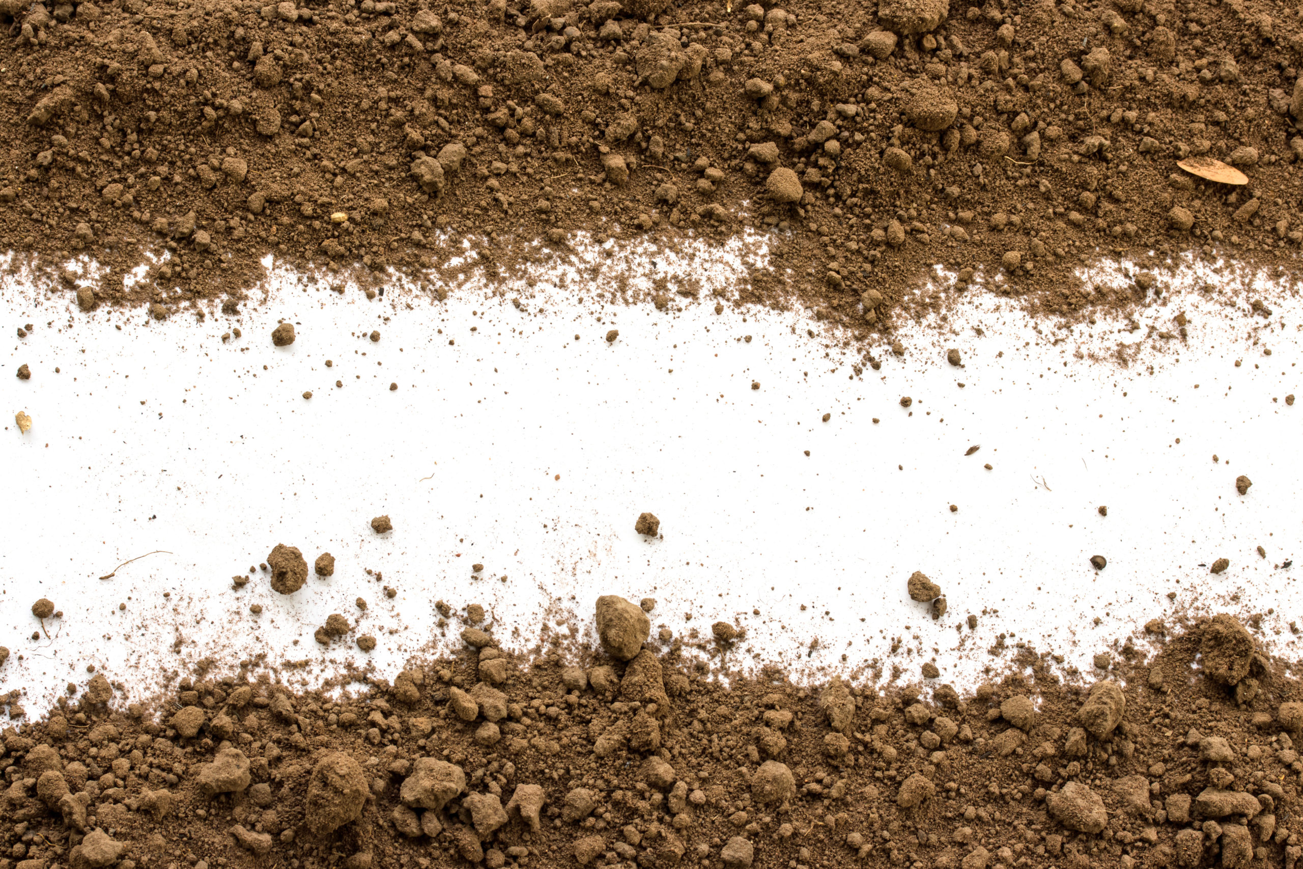 Featured image for “Screened Fill (1 Yard)”