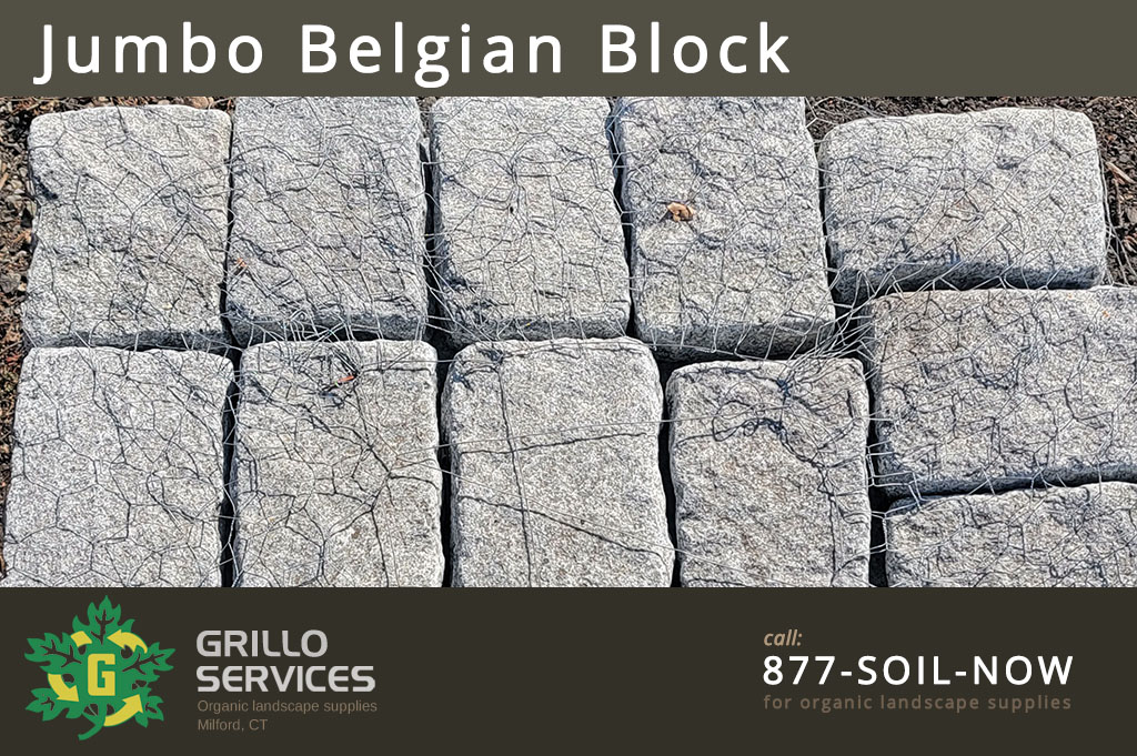 Featured image for “Jumbo Belgian Block (1 piece)”