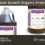 Quantum Growth Organic Probiotics