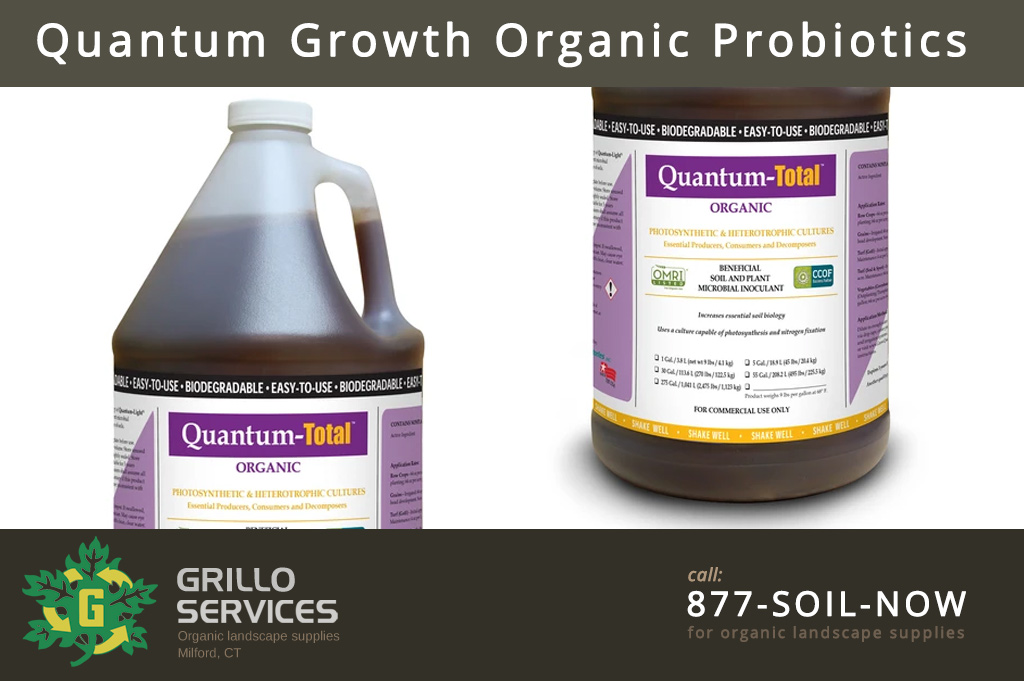 Quantum Growth Organic Probiotics