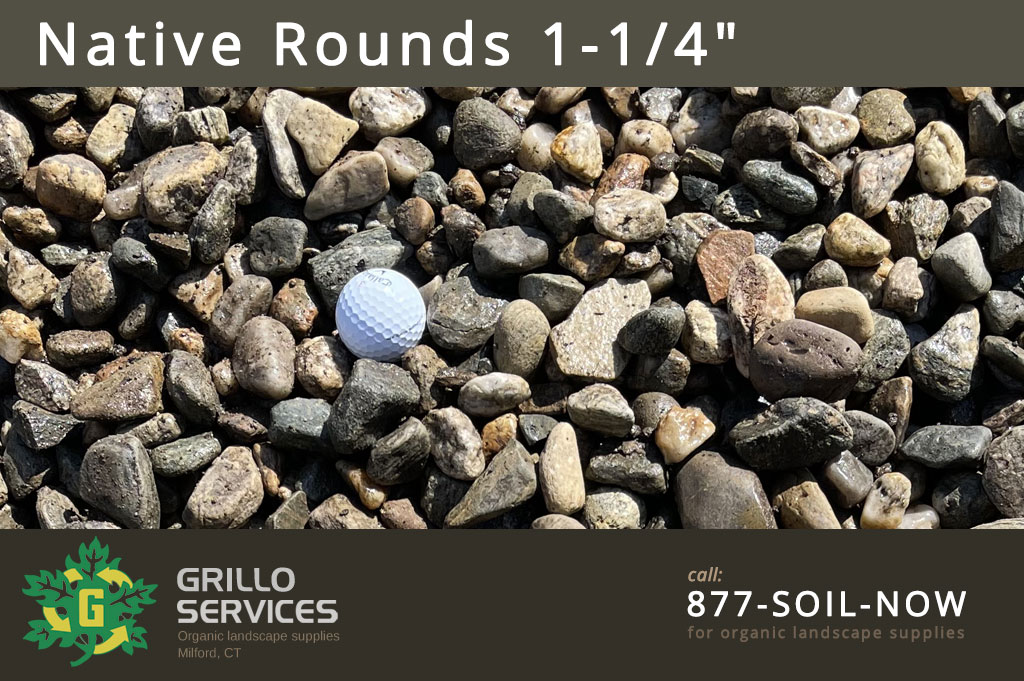 Native Rounds 1-1/4" (1 yard)